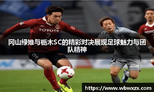 DG视讯官网